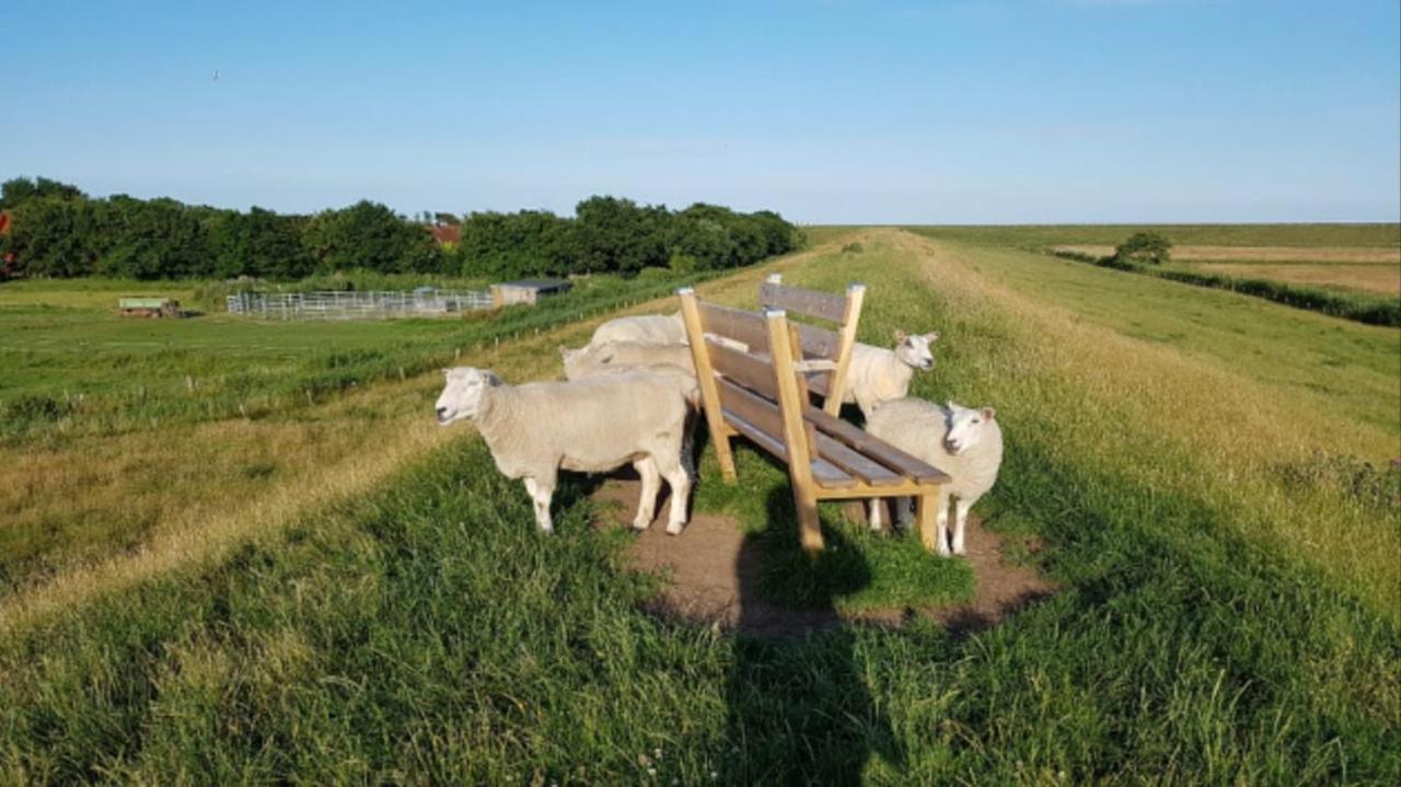 Ferienwohnung Deichgraf - Hedwig meine Perle Hedwigenkoog Exterior foto